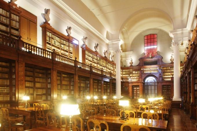 Casa Cielo Universitas Bolonia Zewnętrze zdjęcie